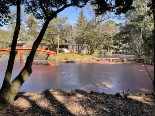 赤く染まる宇佐神宮の池