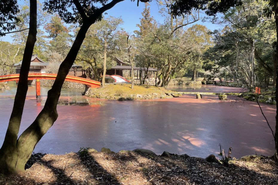 赤く染まる宇佐神宮の池